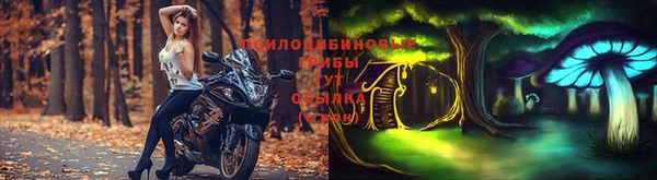 скорость Данков