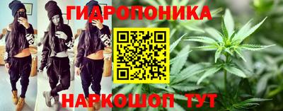 дмт Гатчина