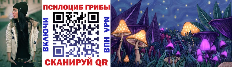 Псилоцибиновые грибы мицелий ОМГ ОМГ онион Касимов