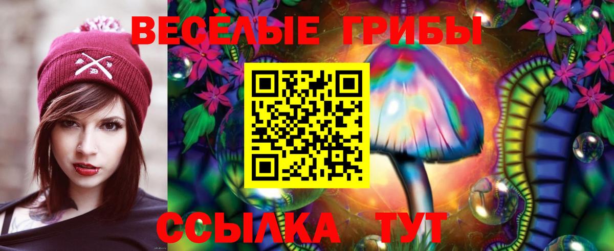 Псилоцибиновые грибы Psilocybe  Касимов 