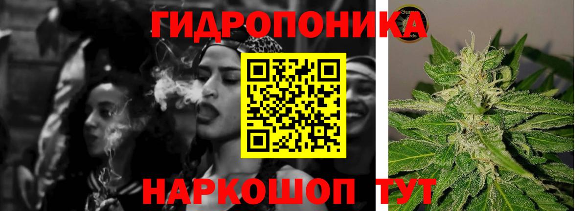 Шишки марихуана план Касимов